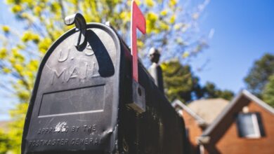 Photo of More Americans are finding mystery seeds from China appearing their mailboxes