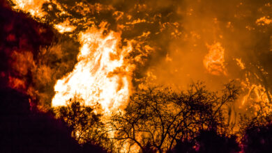 Photo of California Sets New Record for Acreage Burned in Wildfire Season