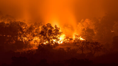 Photo of Glass Fire Explodes in Growth, Forces Evacuation of Entire Town of Calistoga