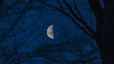 Photo of How will the Last Quarter Moon Affect Your Body And Mind?