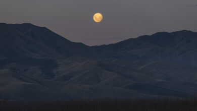 Photo of September 17, 2020: New Moon in Virgo