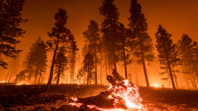 Photo of California Firefighters Continue to Battle Against Mother Nature to Contain Blazes