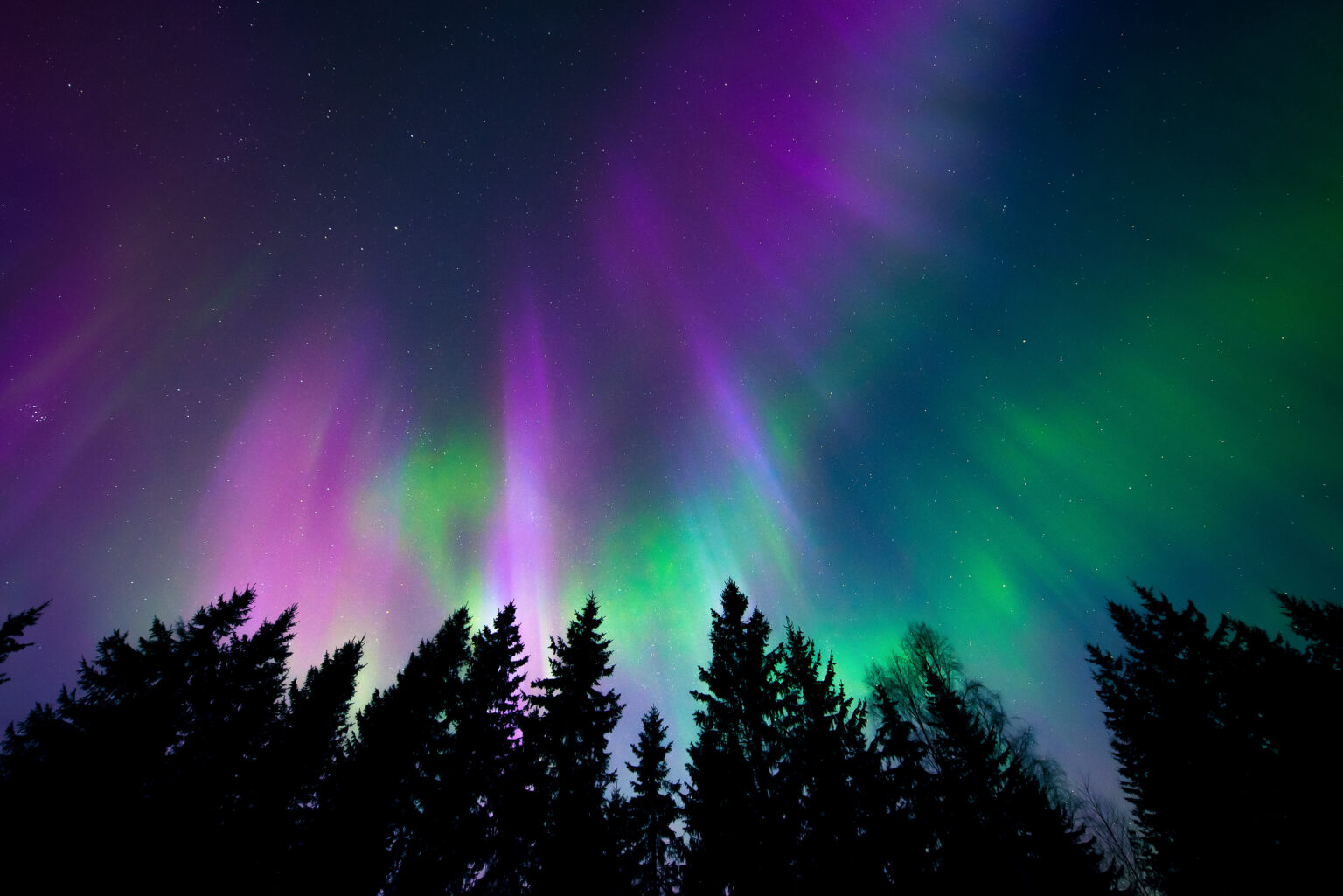 There’s still a chance to see The Northern Lights Tonight from the U.S