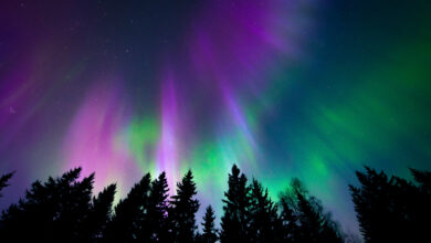 Photo of There’s still a chance to see The Northern Lights Tonight from the U.S.