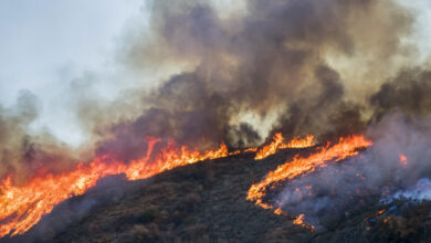 Photo of Zogg Fire Claims One More Life as Wildfires Continue to Plague Northern California