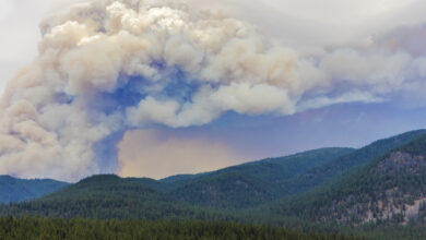 Photo of Largest Fire in Colorado State History Continues to Burn in Rocky Mountain Foothills