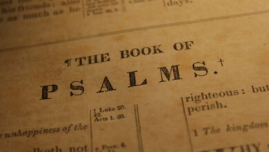 Photo of Psalms Can Calm: Beautiful Psalms to Live Your Live to the Fullest