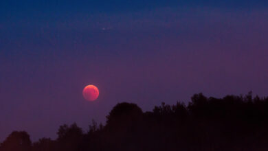 Photo of Releasing to Move Forward: The Full Moon Eclipse in Gemini