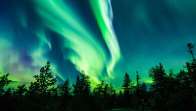 Photo of Northern Lights Could be  Visible From Your State this Week