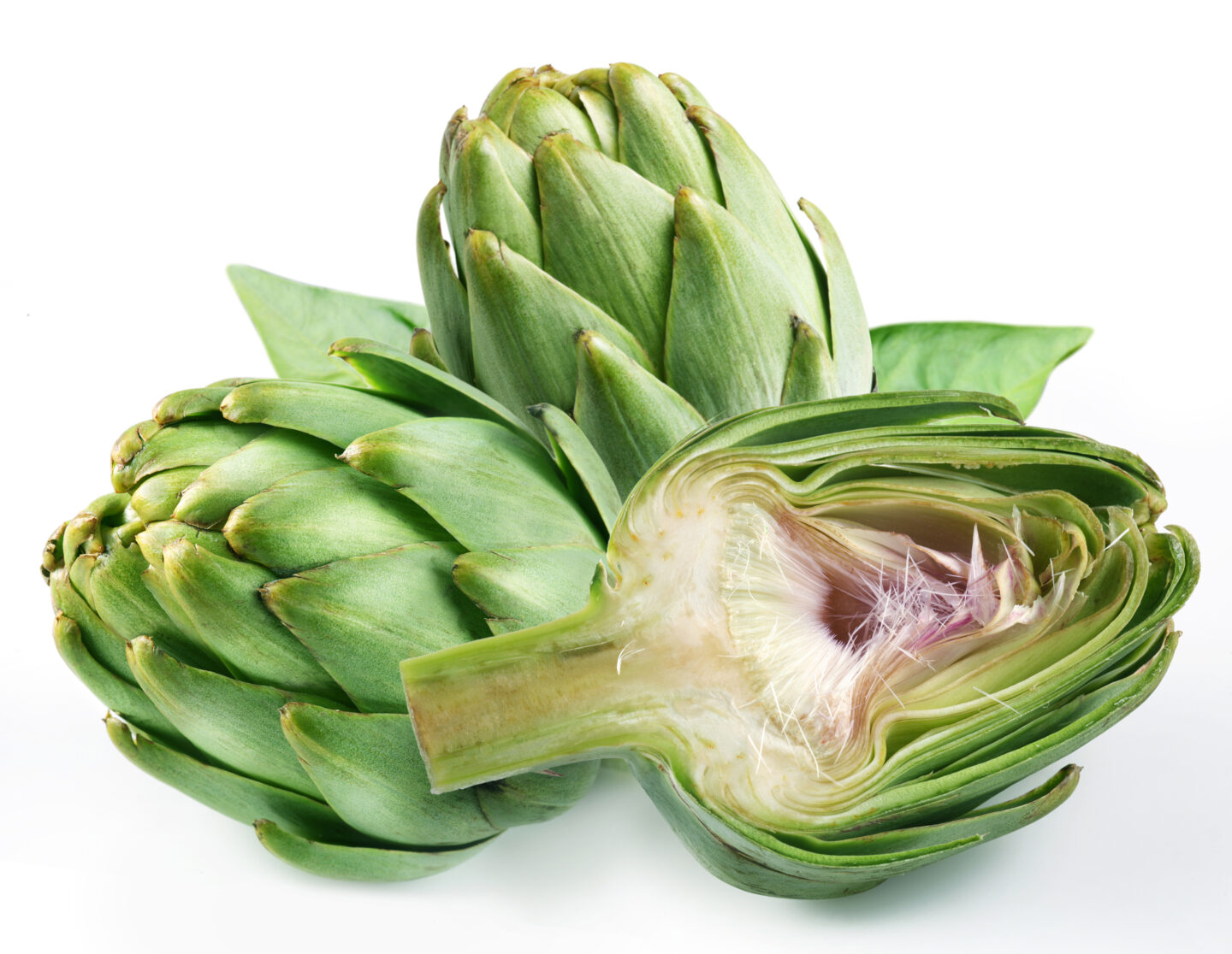 Artichokes The shrub that flowers its way into an Amazing Vegetable Daily Access News