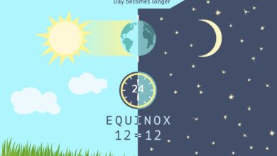 Photo of What is the March Equinox on March 20? Why it is important, and what does it mean?