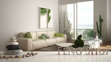 Photo of Zodiac Feng Shui: Live Your Best Life with the Right Home Decor