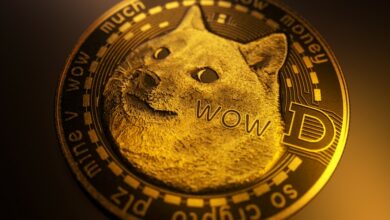 Photo of Elon Musk Sent Dogecoin to the Moon