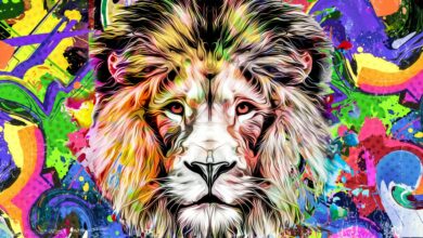 Photo of What Type of Leo Are You? Your Leo Decan Reveals All