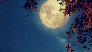 Photo of Full Moon in Pisces: Creating Important Plans and Achieving Multiple Goals