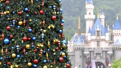 Photo of Festivity Abounds at the Disney Theme Parks This Holiday Season
