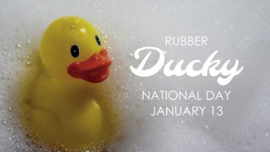 Photo of Celebrate National Rubber Ducky Day! How to Make it the Best Yet