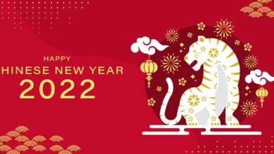 Photo of A New You in 2022: Your New Year Horoscope Based on Chinese and Modern Astrology