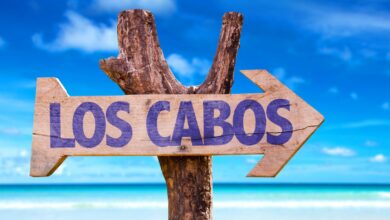Photo of Travel to Los Cabos Is Up This Quarter