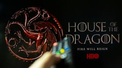 Photo of Is The House Of Dragon Series Worth Watching?