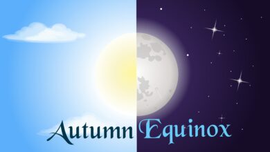 Photo of The Journey Inwards: Embracing the Fall Equinox