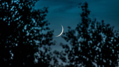Photo of Hopeful New Beginnings With The New Moon in Sagittarius