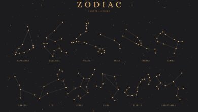 Photo of Why We Are Grateful For Each Zodiac Sign