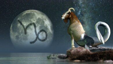Photo of Capricorn Season Shows Us How To Own Our Saturn Energy